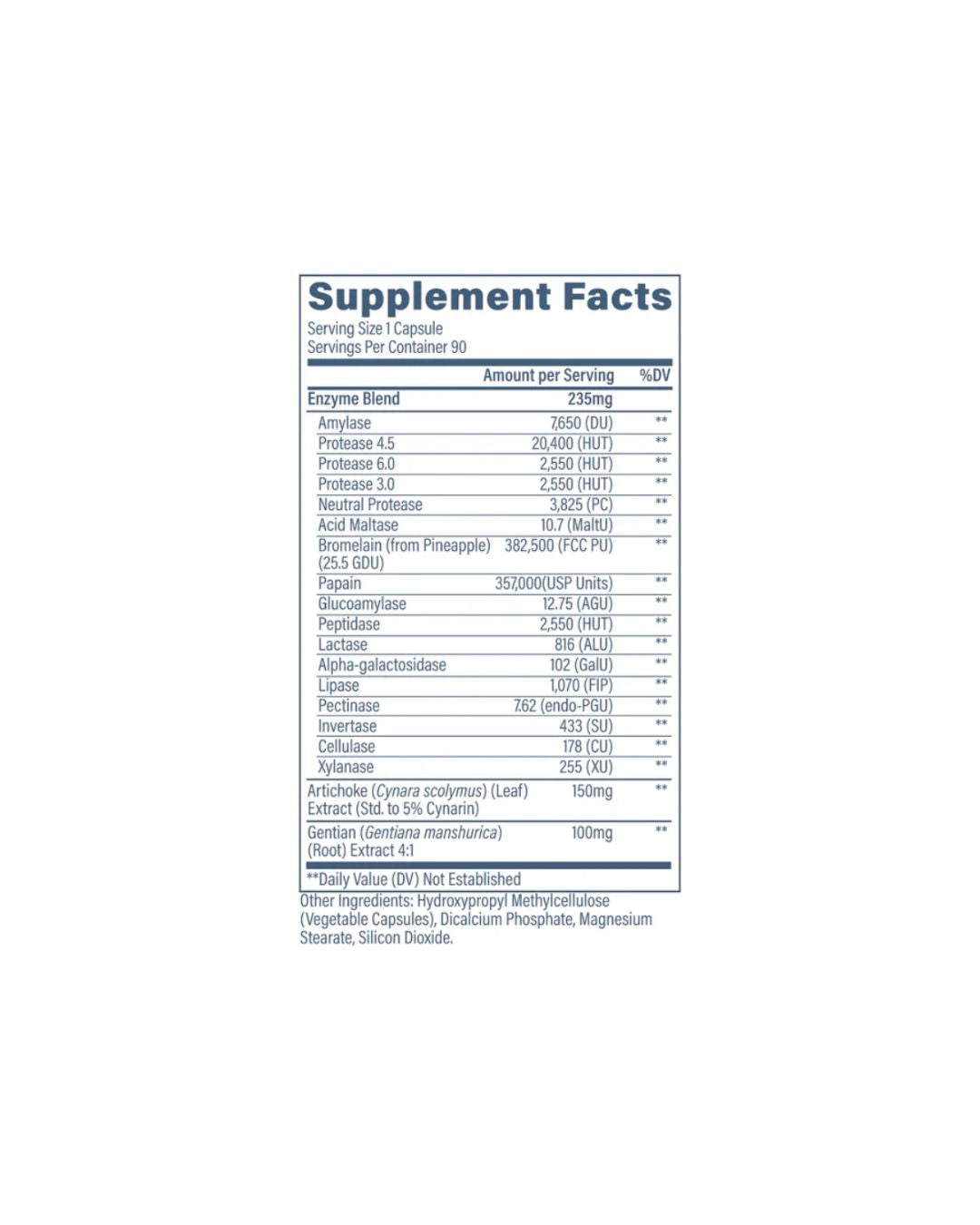 Revive Digest Aid Supplement Facts-The Supplement Stop