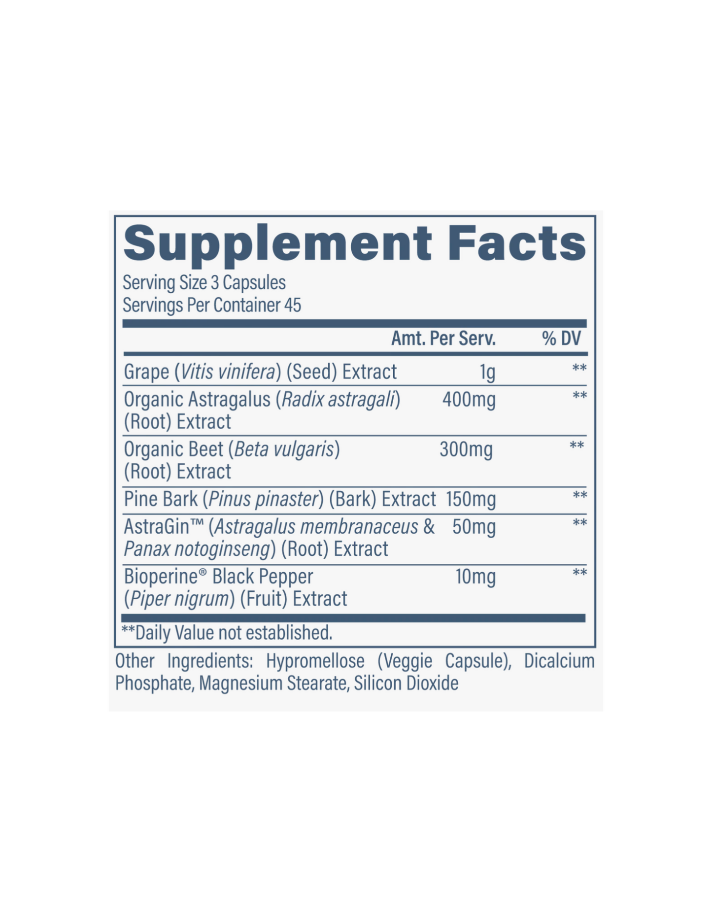 Revive Kidney-The Supplement Stop