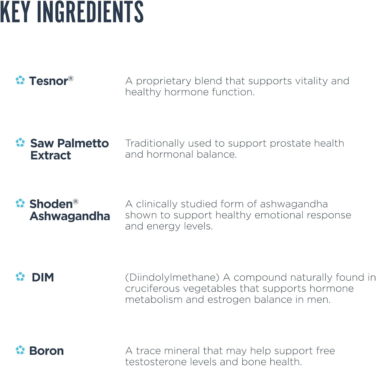 "Revive Mens Health Key Ingredients-The Supplement Stop"