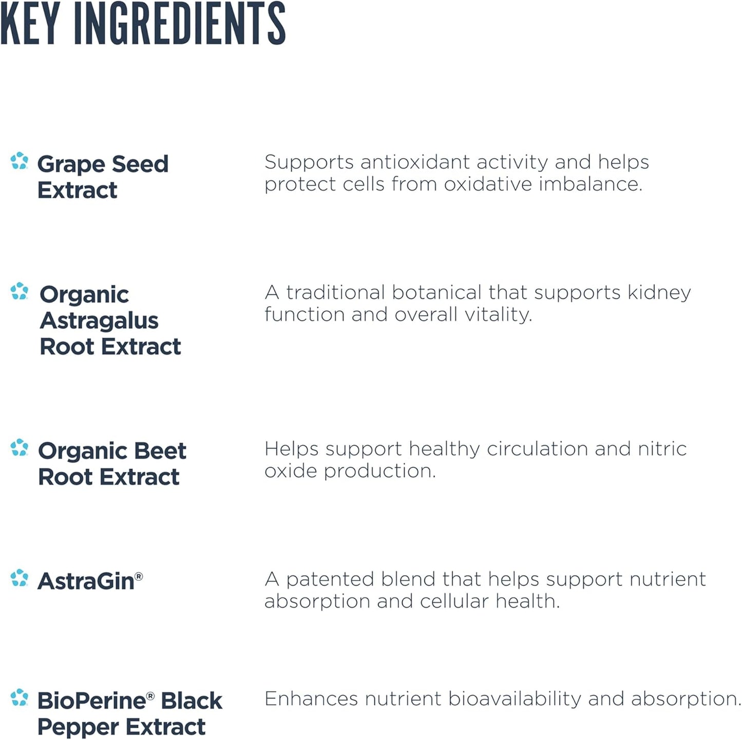 "Revive Advanced Kidney Health Key Ingredients-The Supplement Stop"