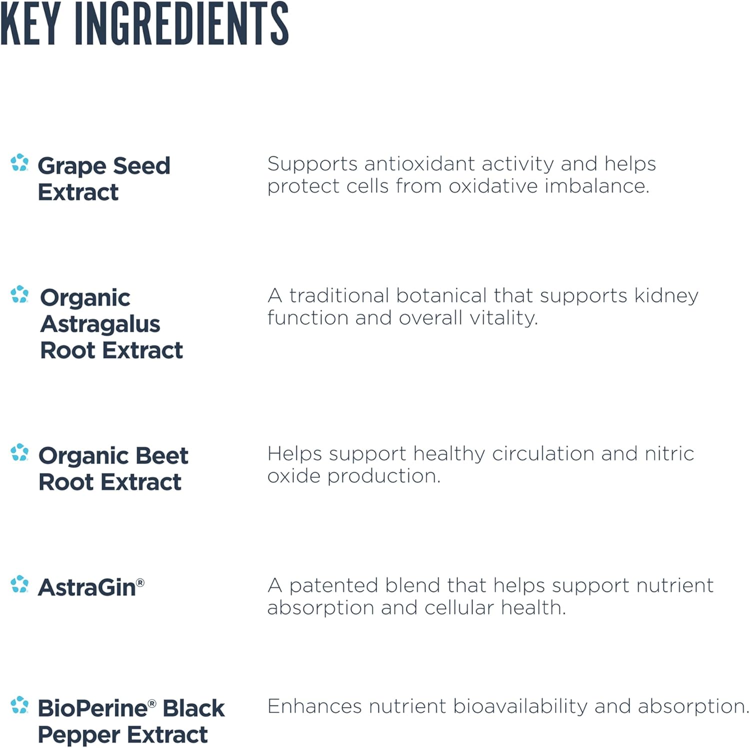 "Revive Advanced Kidney Health Key Ingredients-The Supplement Stop"