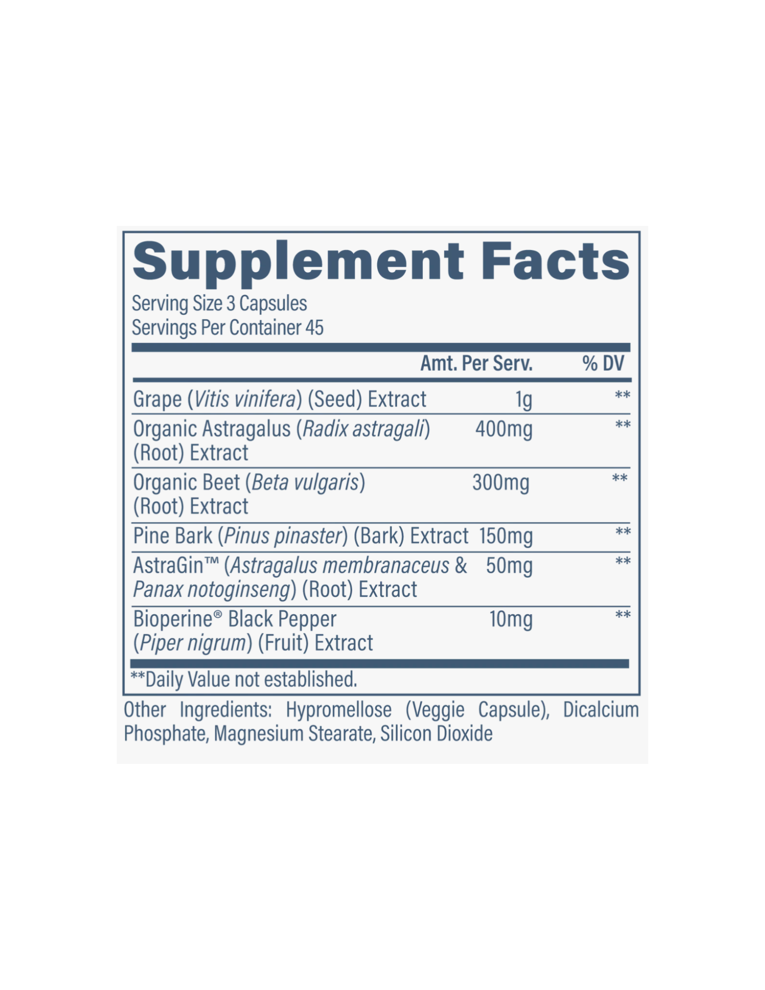 "Revive Kidney-The Supplement Stop"