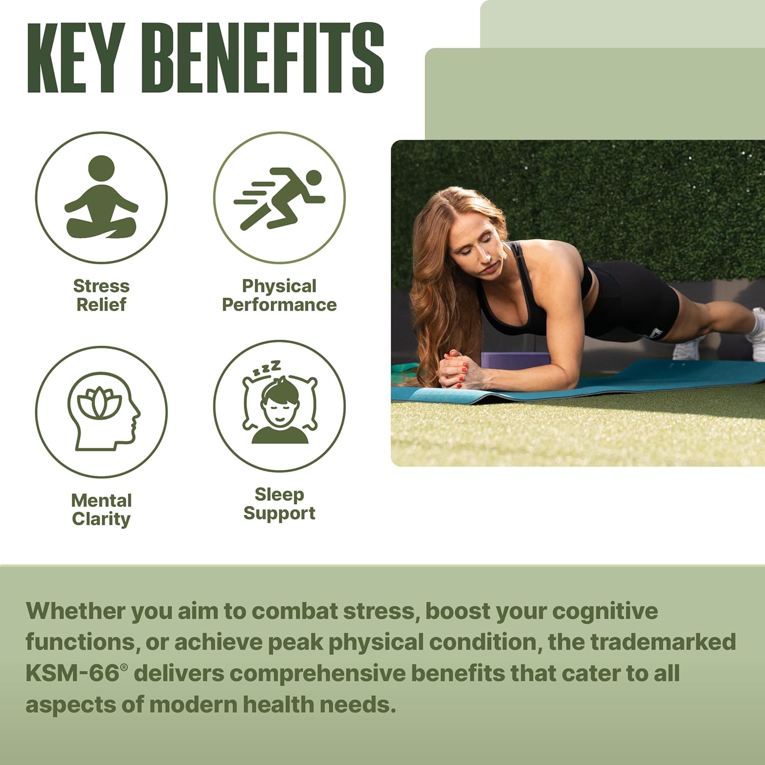 "Nutrabio KSM66 Ashwagandha Key Benefits-The Supplement Stop"