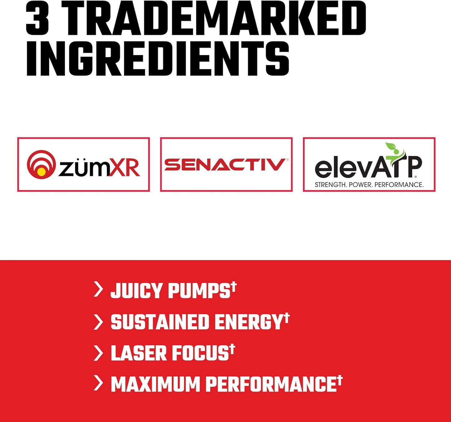 Axe & Sledge Supplements Intake Preworkout-The Supplement Stop